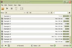 Transmission-Qt Screenshot