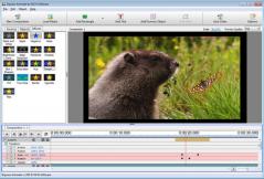 Express Animate Screenshot